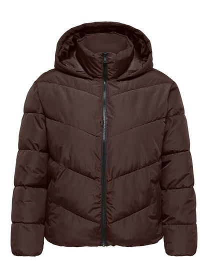 pack_shot-front