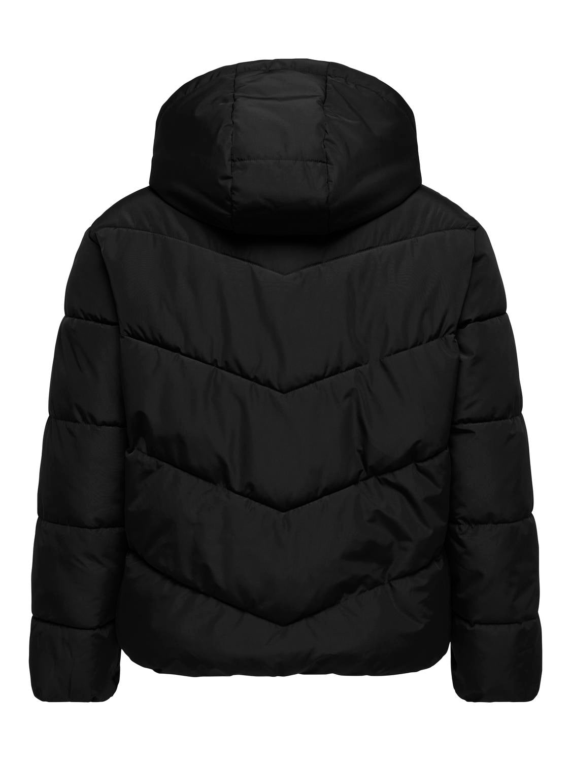 pack_shot-back