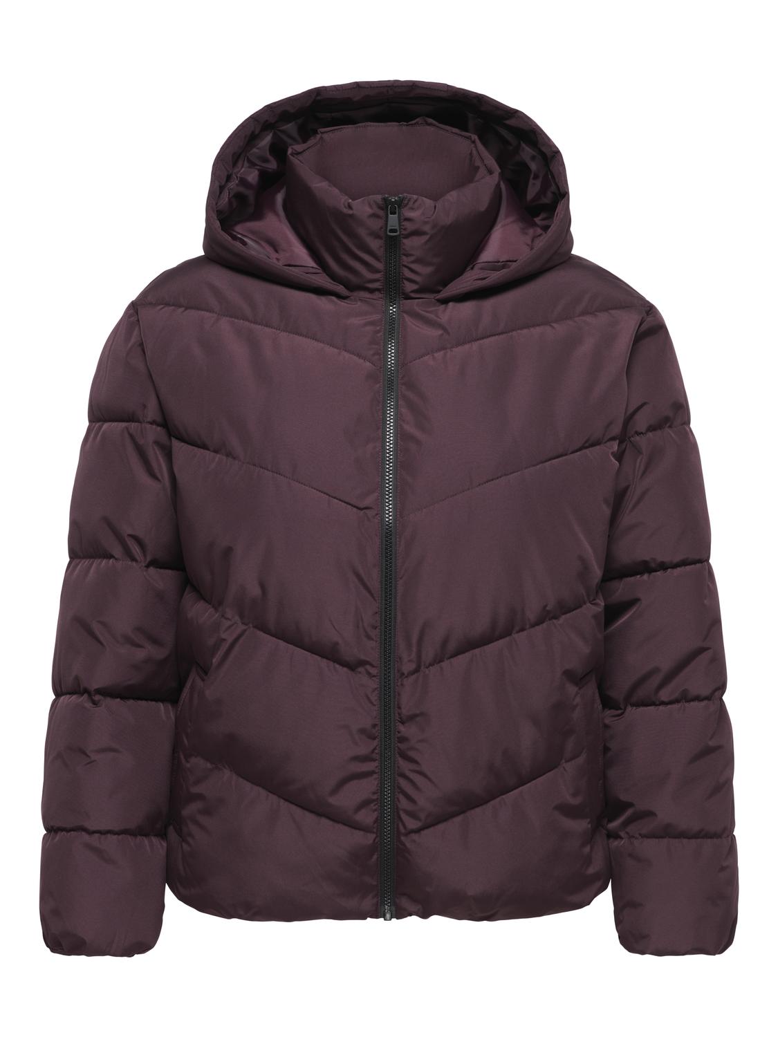 pack_shot-front