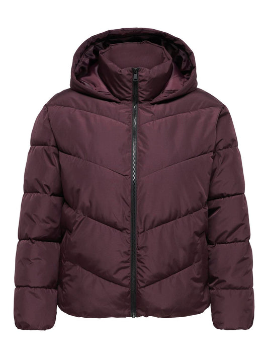 pack_shot-front