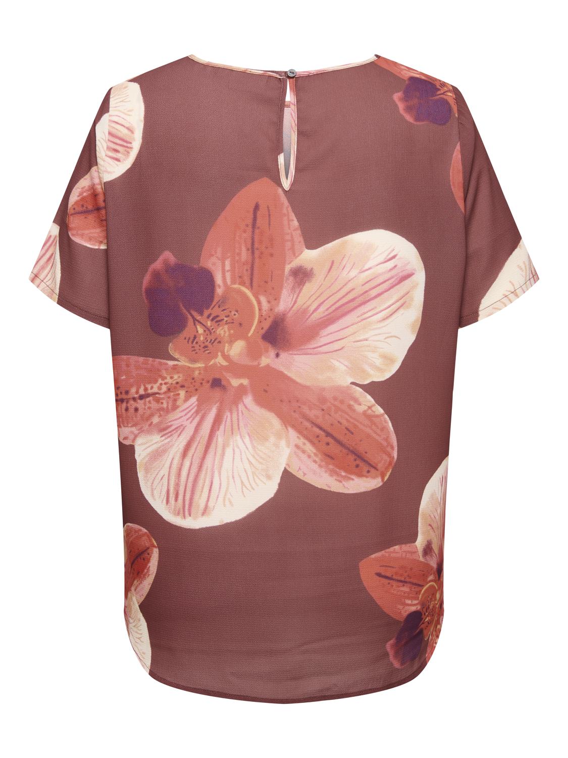 pack_shot-back