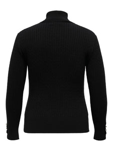 Carlorelai Ls Cable Rollneck Knt Cur Curve Truien