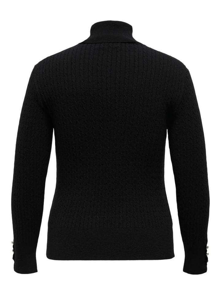 Carlorelai Ls Cable Rollneck Knt Cur Curve Truien