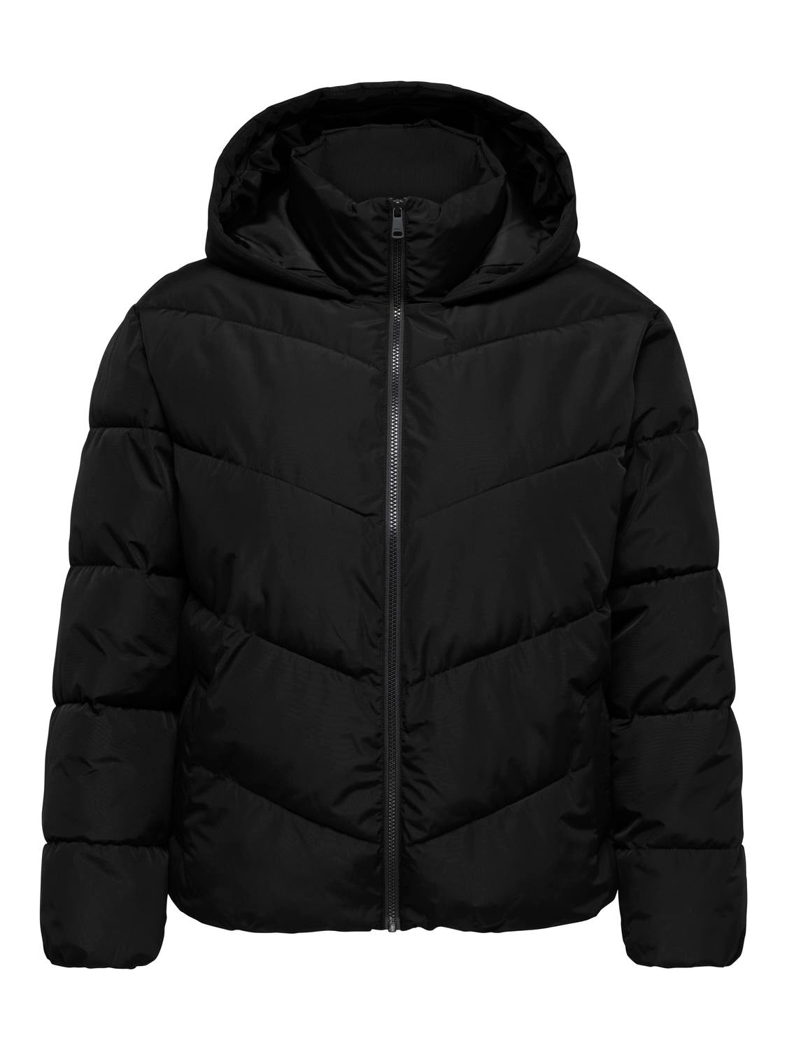 pack_shot-front