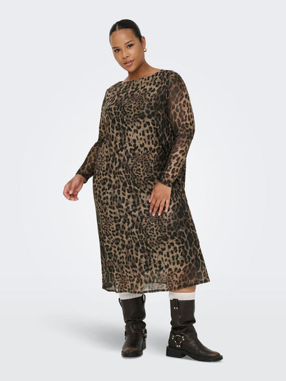 model_shot-front_full