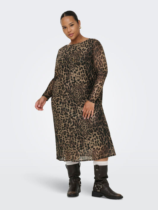 model_shot-front_full